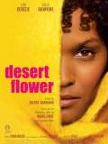 Desert flower (Puščavska roža)