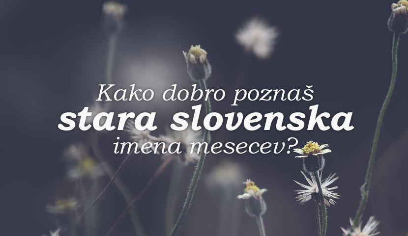 KVIZ: Kako dobro poznaš stara slovenska imena mesecev?